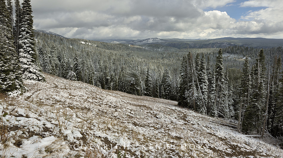 Washburn Hot Springs Overlook, Yellowstone National Park, Wyoming
