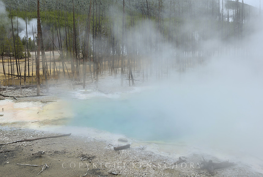 Norris Geyser Basin, Yellowstone National Park, Wyoming