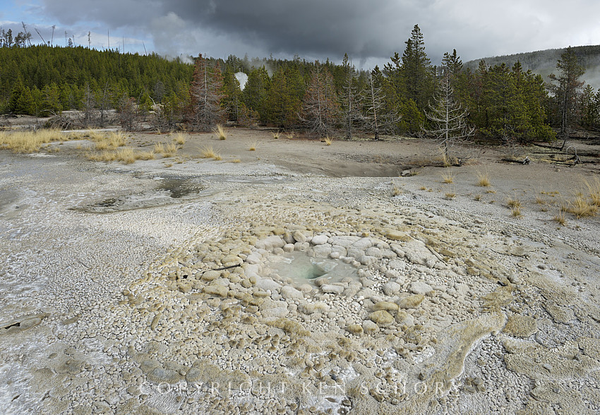 Vixen Geyser, Yellowstone National Park, Wyoming