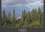1333