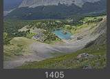 Colorado #1405