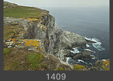 Ireland #1409