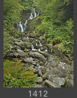 Ireland #1412