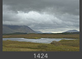 Ireland #1424
