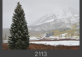 2113