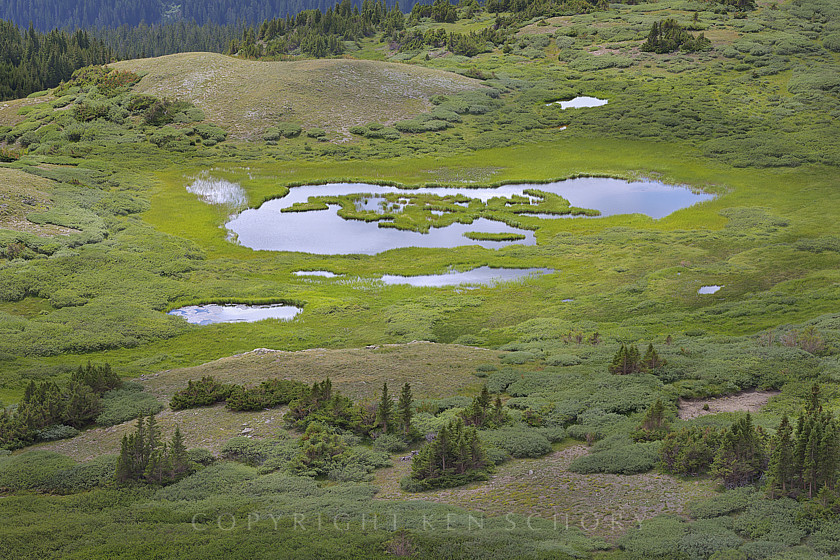 #1404 Pond Chaffee County Colorado