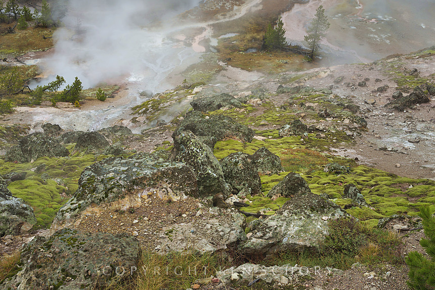 Artist's Paint Pots, Yellowstone National Park, Wyoming